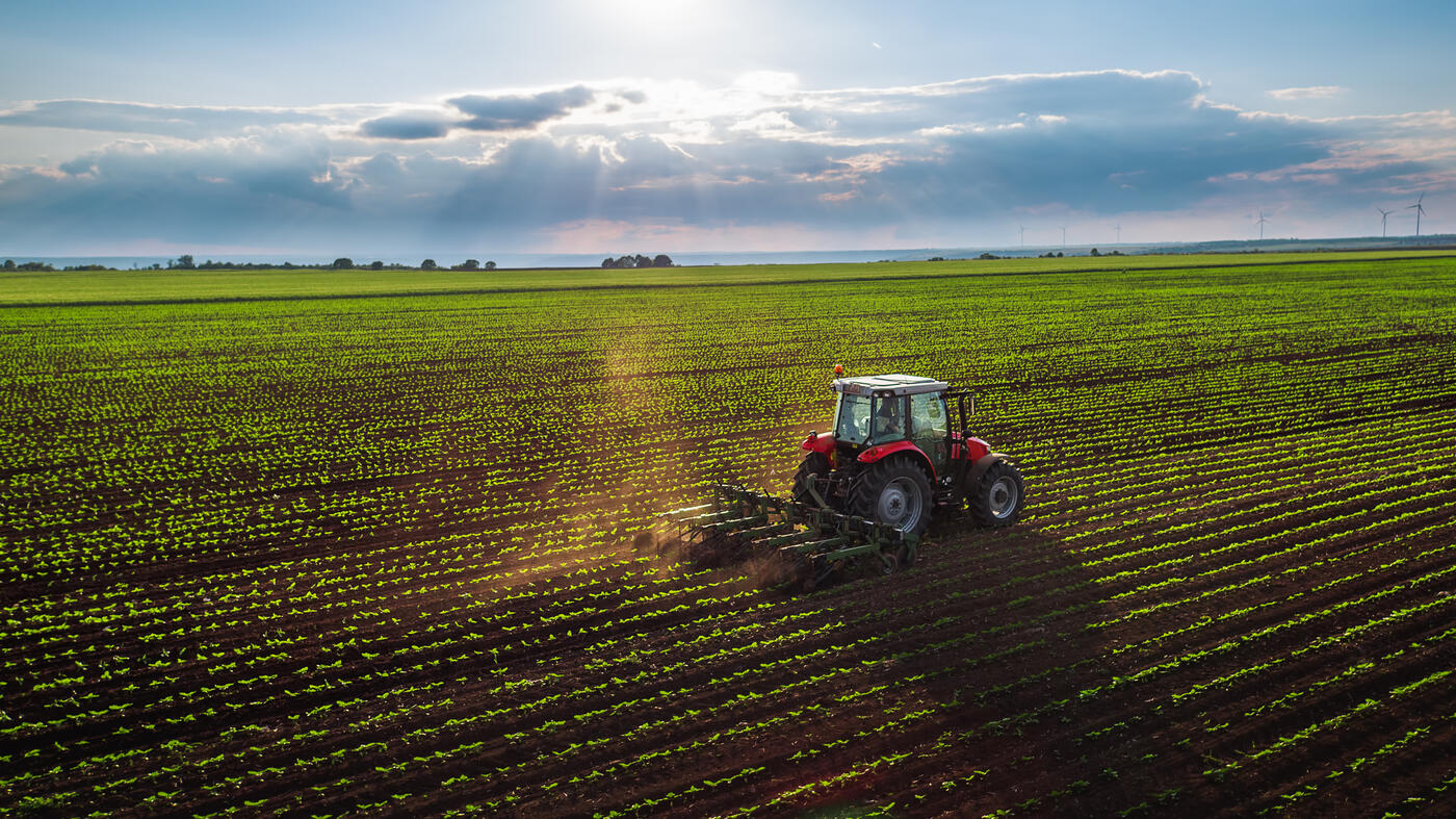 tractor mowing the field in an open field